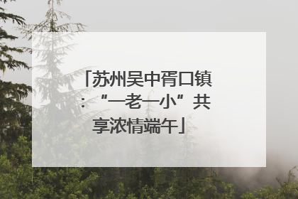 苏州吴中胥口镇：“一老一小”共享浓情端午