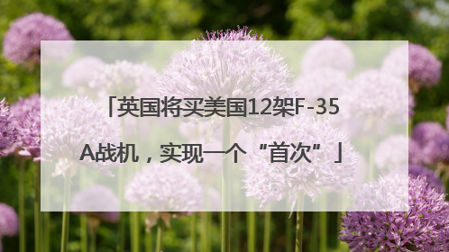 英国将买美国12架F-35A战机，实现一个“首次”