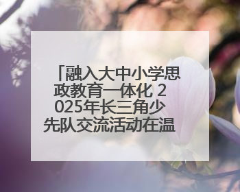 融入大中小学思政教育一体化 2025年长三角少先队交流活动在温岭举办
