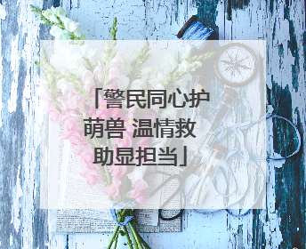 警民同心护萌兽 温情救助显担当