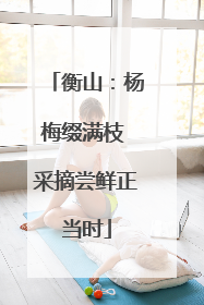 衡山：杨梅缀满枝 采摘尝鲜正当时