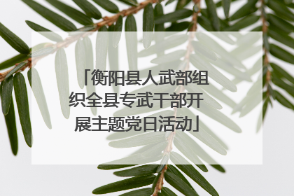 衡阳县人武部组织全县专武干部开展主题党日活动
