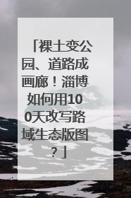 裸土变公园、道路成画廊！淄博如何用100天改写路域生态版图？