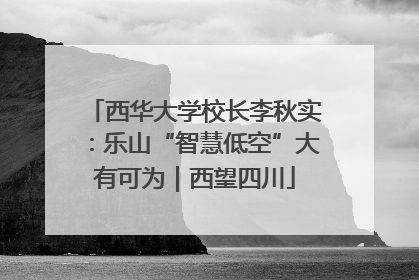 西华大学校长李秋实：乐山“智慧低空”大有可为｜西望四川