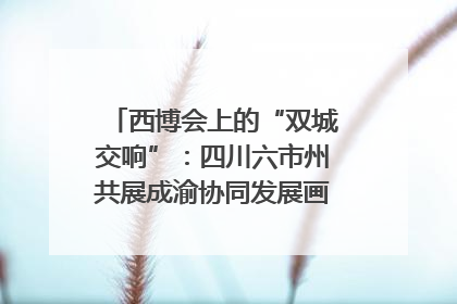 西博会上的“双城交响”：四川六市州共展成渝协同发展画卷｜西博视界