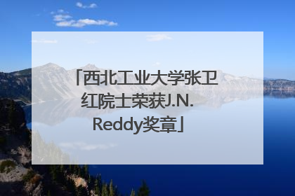 西北工业大学张卫红院士荣获J.N.Reddy奖章
