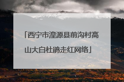 西宁市湟源县前沟村高山大白杜鹃走红网络