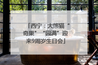 西宁：大熊猫“奇果”“园满”迎来9周岁生日会