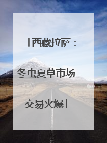 西藏拉萨：冬虫夏草市场交易火爆