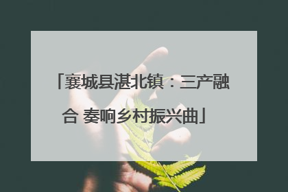 襄城县湛北镇：三产融合 奏响乡村振兴曲