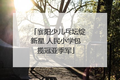 襄阳少儿乓坛绽新星 人民小学包揽冠亚季军