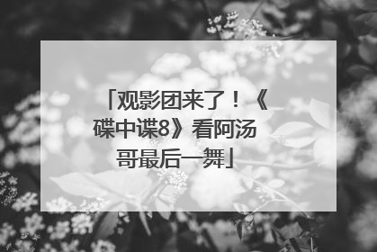 观影团来了！《碟中谍8》看阿汤哥最后一舞