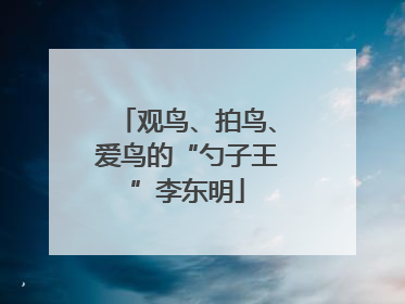 观鸟、拍鸟、爱鸟的“勺子王”李东明
