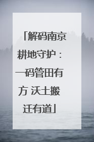 解码南京耕地守护：一码管田有方 沃土搬迁有道