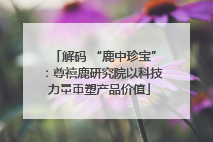 解码 “鹿中珍宝”：尊禧鹿研究院以科技力量重塑产品价值