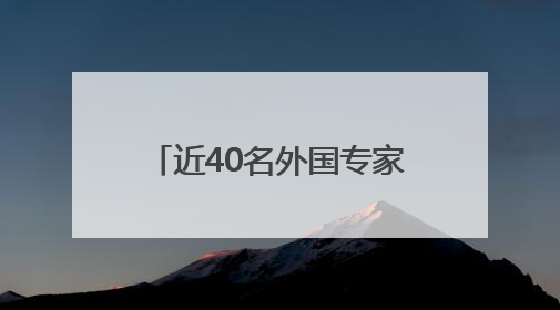 近40名外国专家学者聚浙江柯桥 共探国际创新合作