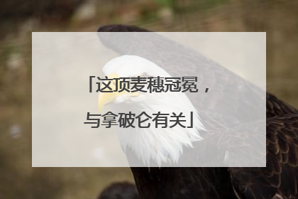 这顶麦穗冠冕，与拿破仑有关