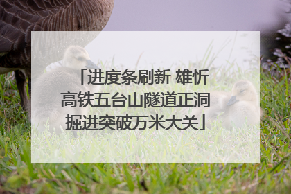 进度条刷新 雄忻高铁五台山隧道正洞掘进突破万米大关
