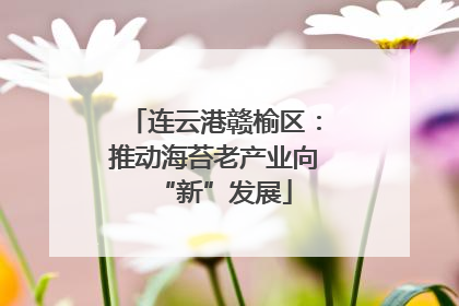 连云港赣榆区：推动海苔老产业向“新”发展