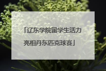 辽东学院留学生活力亮相丹东匹克球赛