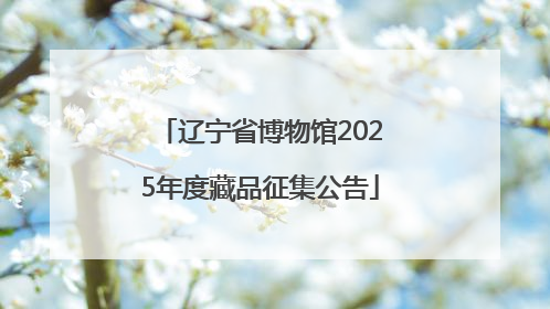 辽宁省博物馆2025年度藏品征集公告