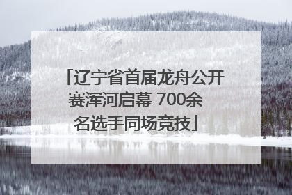辽宁省首届龙舟公开赛浑河启幕 700余名选手同场竞技