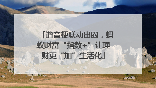 谐音梗联动出圈，蚂蚁财富“指数+”让理财更“加”生活化