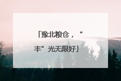 豫北粮仓，“丰”光无限好