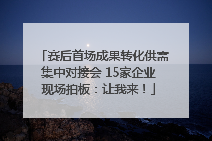 赛后首场成果转化供需集中对接会 15家企业现场拍板：让我来！