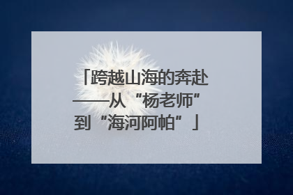 跨越山海的奔赴——从“杨老师”到“海河阿帕”