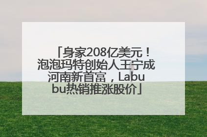 身家208亿美元！泡泡玛特创始人王宁成河南新首富，Labubu热销推涨股价