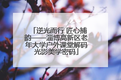 逆光而行 匠心捕韵——淄博高新区老年大学户外课堂解码光影美学密码
