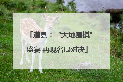 道县：“大地围棋”盛宴 再现名局对决