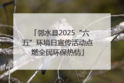 邻水县2025“六五”环境日宣传活动点燃全民环保热情
