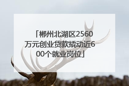 郴州北湖区2560万元创业贷款撬动近600个就业岗位