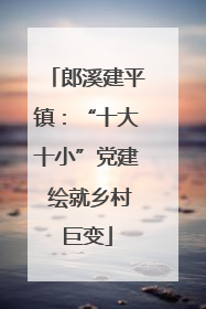 郎溪建平镇：“十大十小”党建 绘就乡村巨变