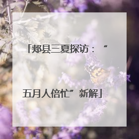郏县三夏探访：“五月人倍忙”新解