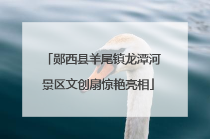 郧西县羊尾镇龙潭河景区文创扇惊艳亮相