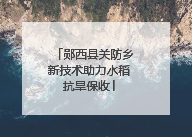 郧西县关防乡新技术助力水稻抗旱保收
