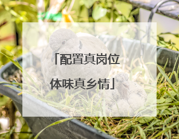 配置真岗位 体味真乡情
