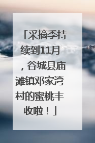 采摘季持续到11月，谷城县庙滩镇邓家湾村的蜜桃丰收啦！