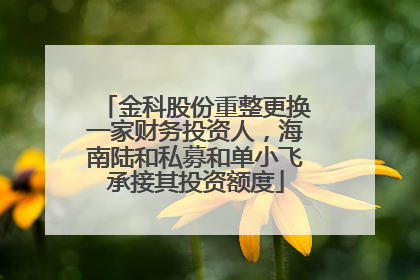 金科股份重整更换一家财务投资人，海南陆和私募和单小飞承接其投资额度