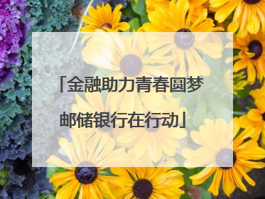 金融助力青春圆梦邮储银行在行动