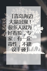 青岛海边大量出现！很多人因为好看捡，专家：有一定毒性，不建议手碰