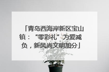 青岛西海岸新区宝山镇：“零彩礼”为爱减负，新风尚文明加分