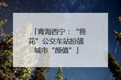 青海西宁：“簪花”公交车站扮靓城市“颜值”