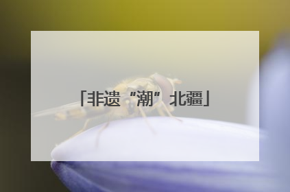 非遗“潮”北疆