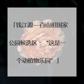 钱江源—百山祖国家公园候选区：“这是一个动植物乐园”
