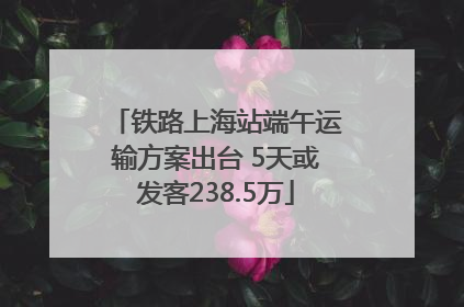 铁路上海站端午运输方案出台 5天或发客238.5万