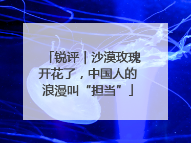 锐评｜沙漠玫瑰开花了，中国人的浪漫叫“担当”